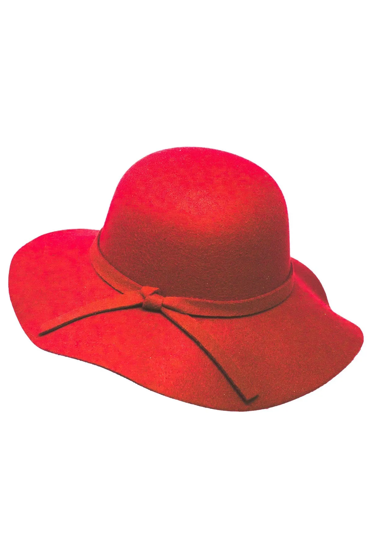 Felt Floppy Wide Brim Hat