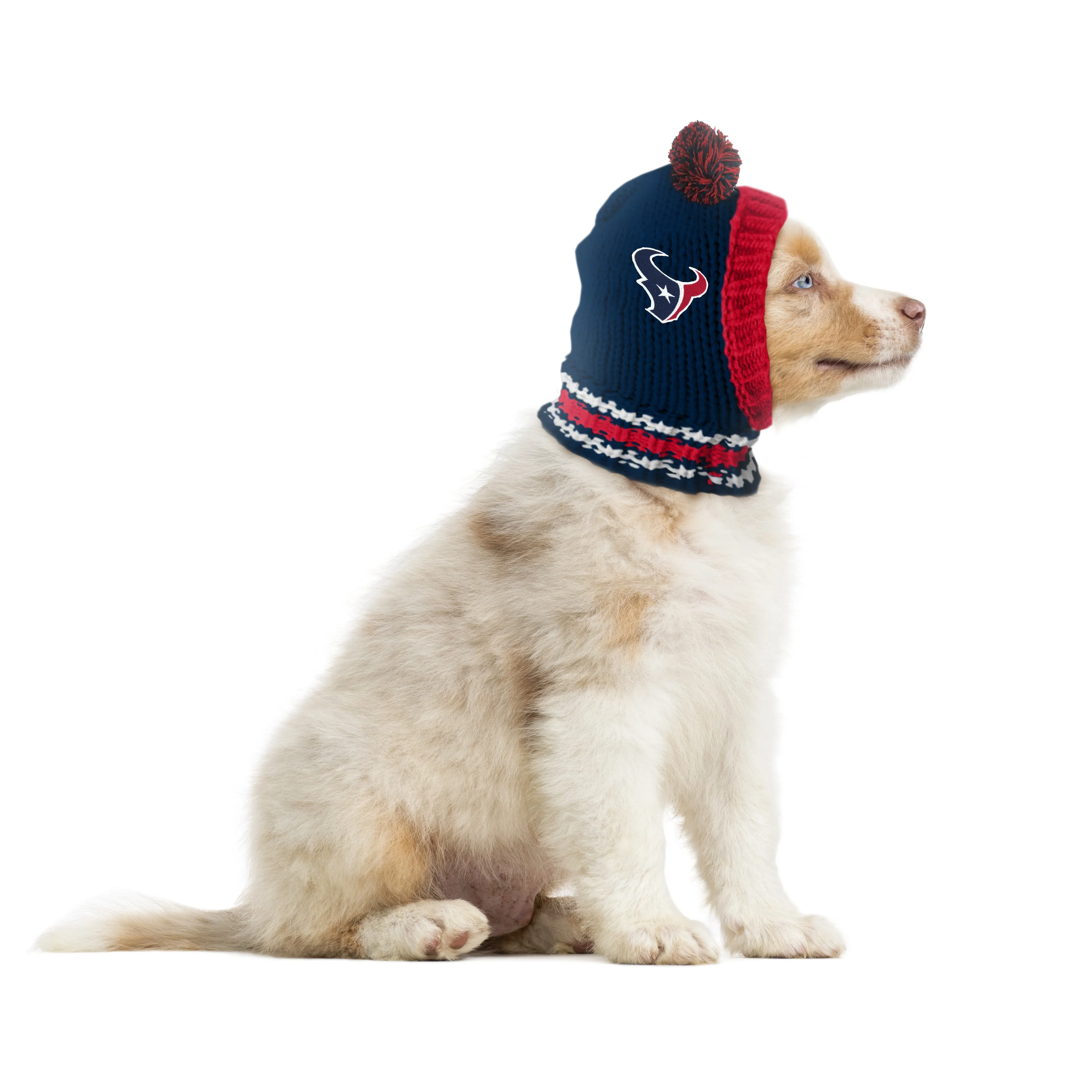 Houston Texans Team Pet Knit Hat